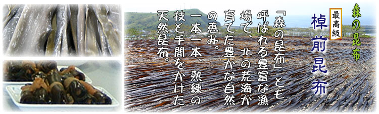 棹前(さおまえ)昆布・根昆布－ＪＦ昆布森漁業協同組合【北海道釧路町】